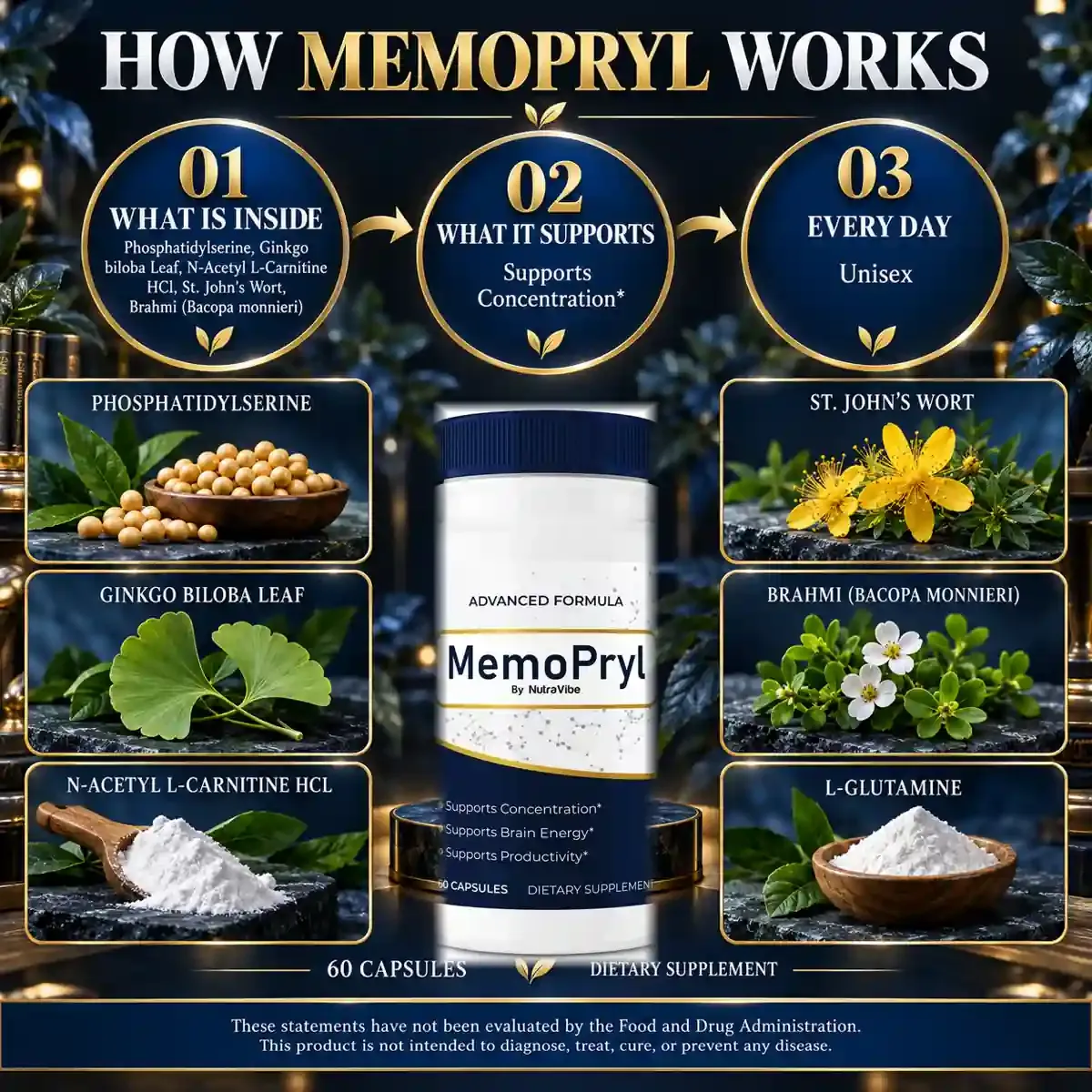 How Memopryl works graphic from the brand: what is inside, what it supports, every day